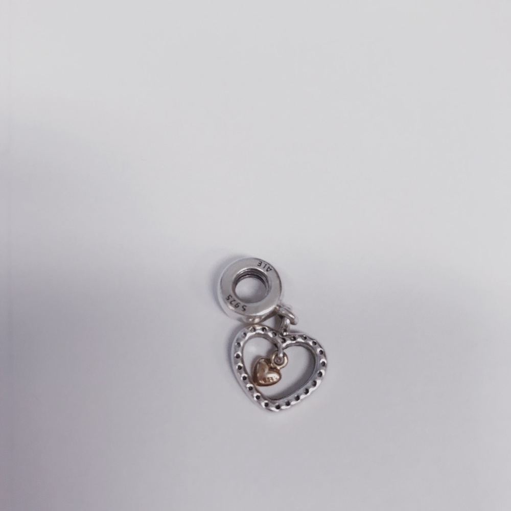 Sparkling Double Heart Dangle Charm